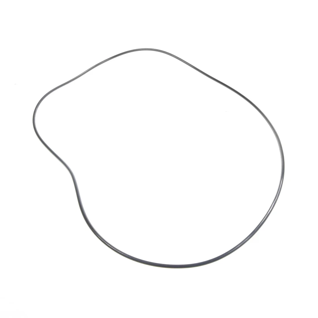 TVH - TVH/50542519 - Massey Ferguson Rear Axle O-Ring