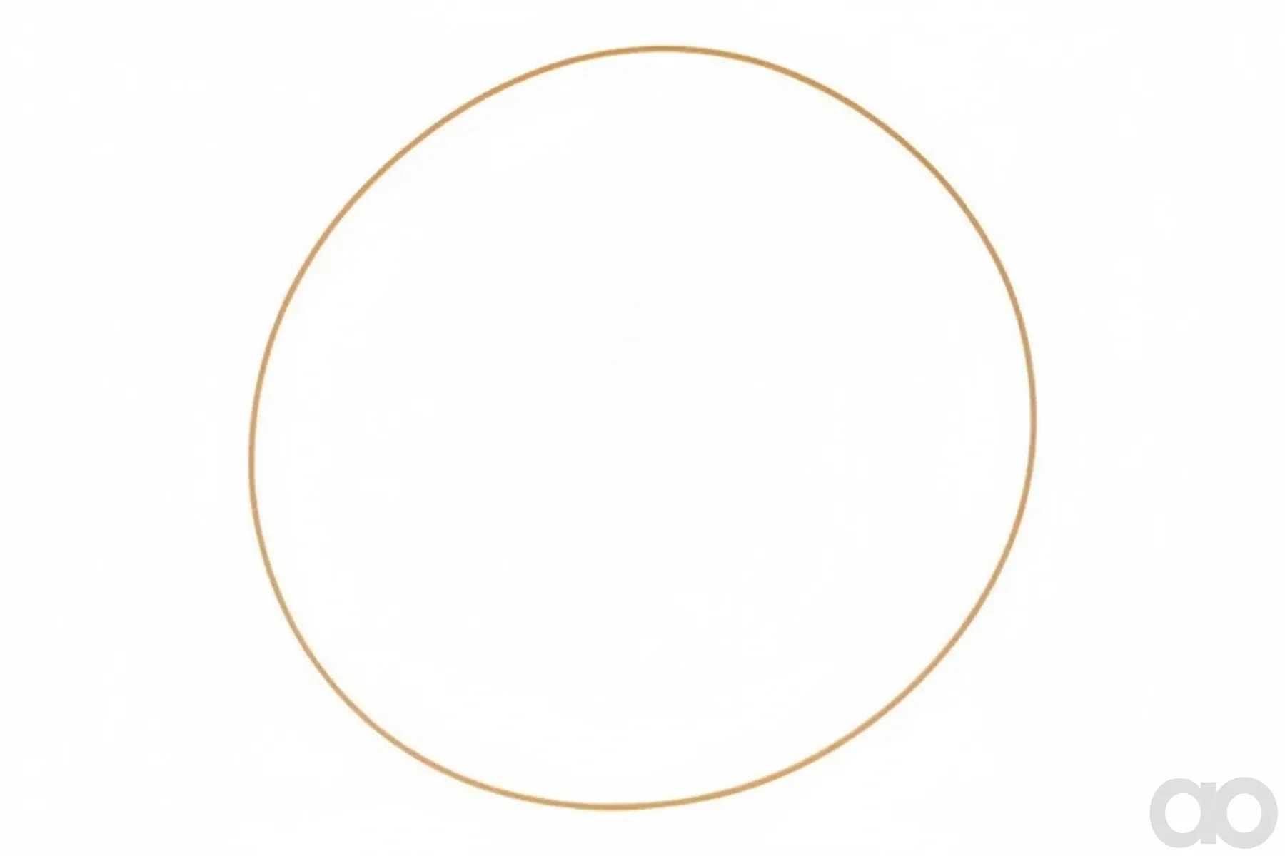 Case IH - 1997616C4 - Gasket