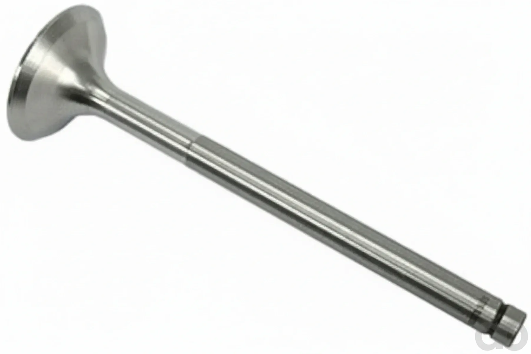 Case IH - 3055055R1 - Intake Valve