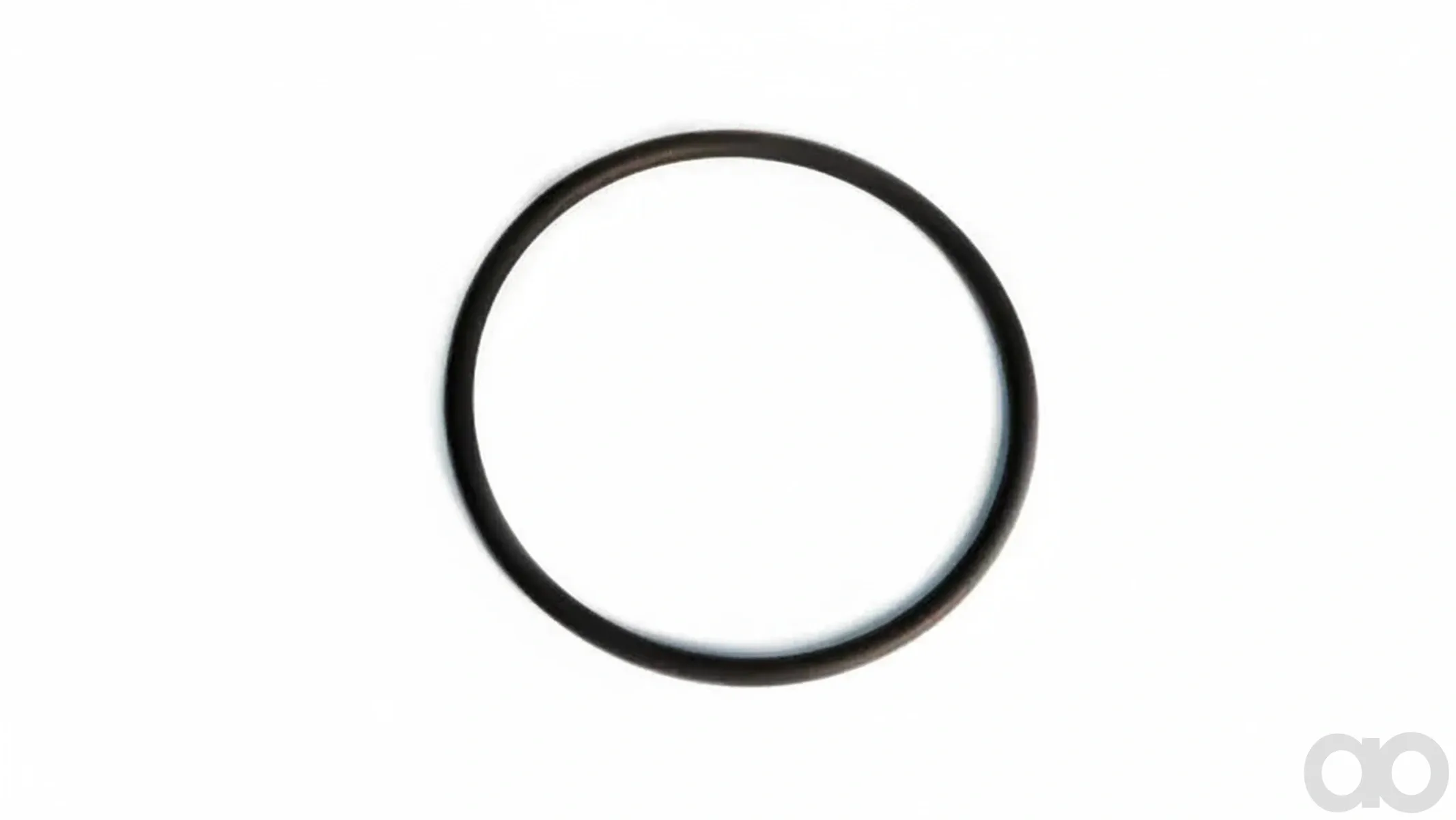 Case IH - 4898876 - O-Ring