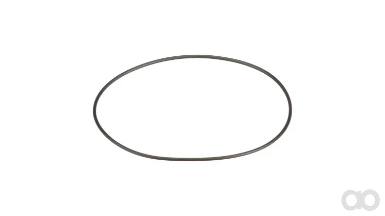 Case IH - 70924921 - O-Ring