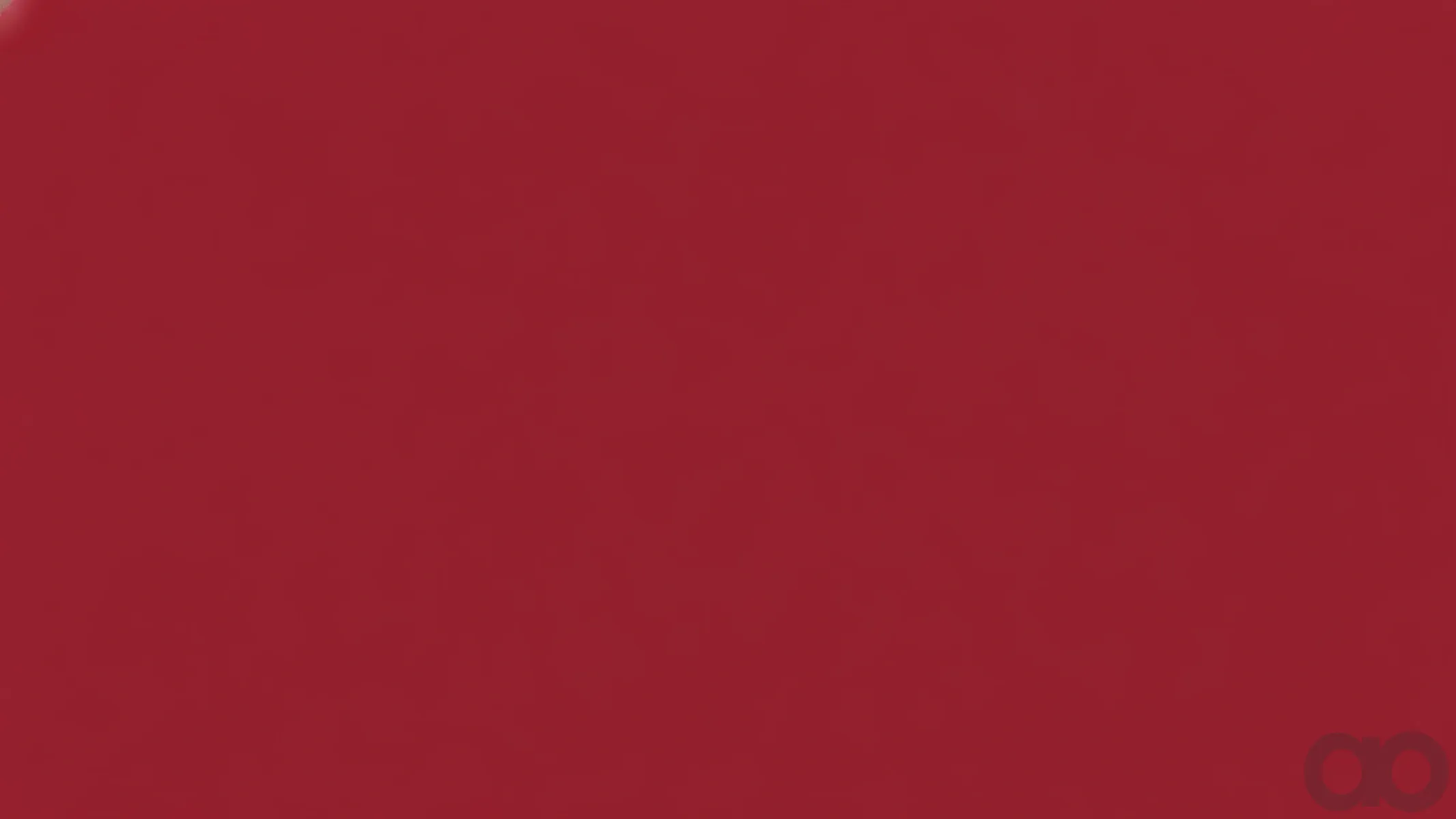 Case IH - 991010R2LF - Paint