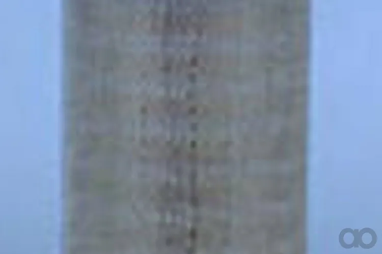 Case IH - AF1601M - Air filter (AF1601M)