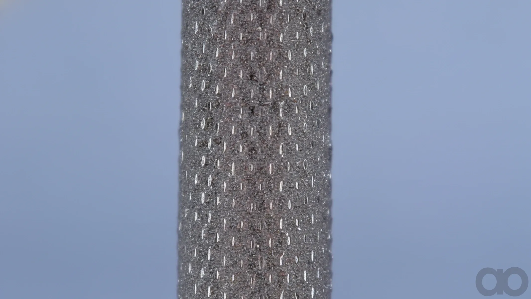 Case IH - AF1635 - Air filter (AF1635)
