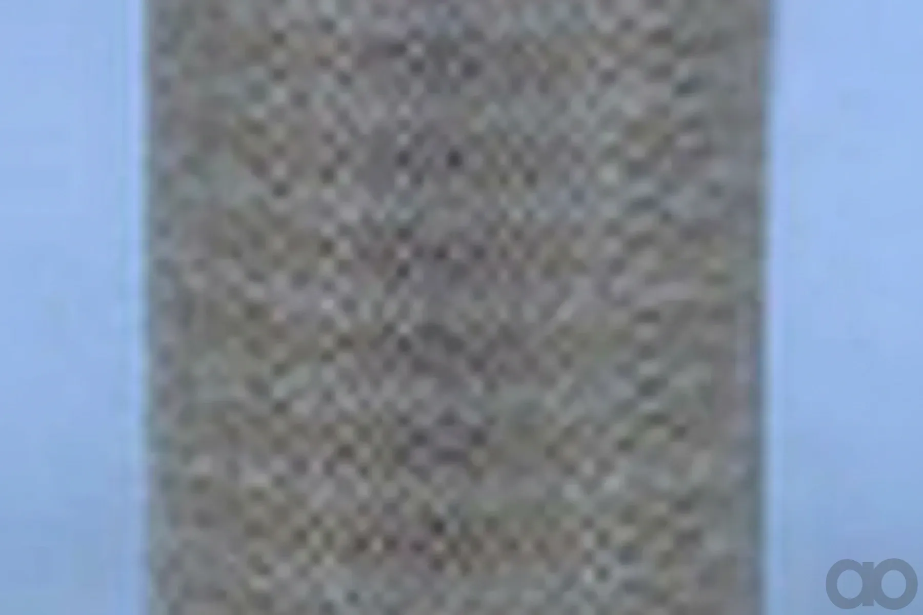 Case IH - AF1798 - Air Filter