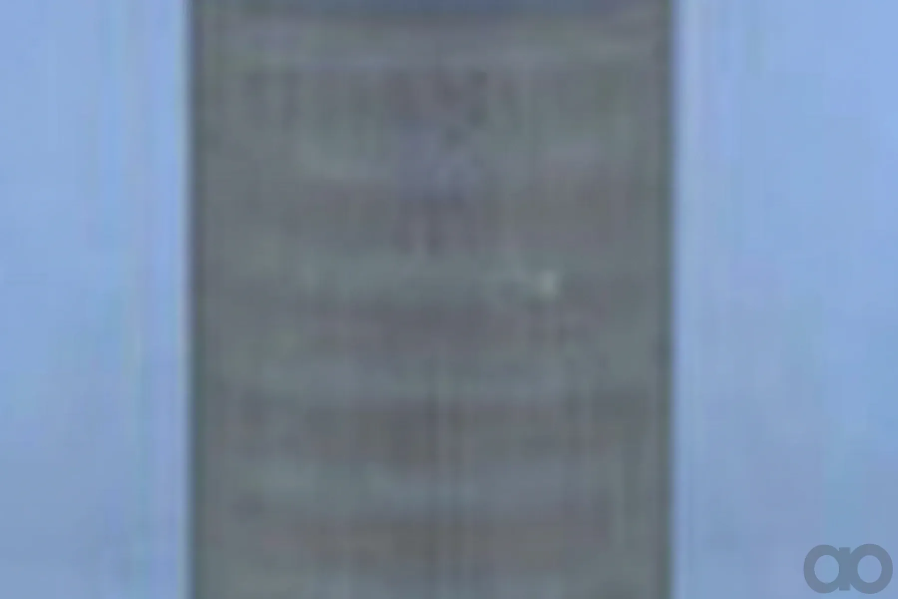 Case IH - AF1800 - Air Filter