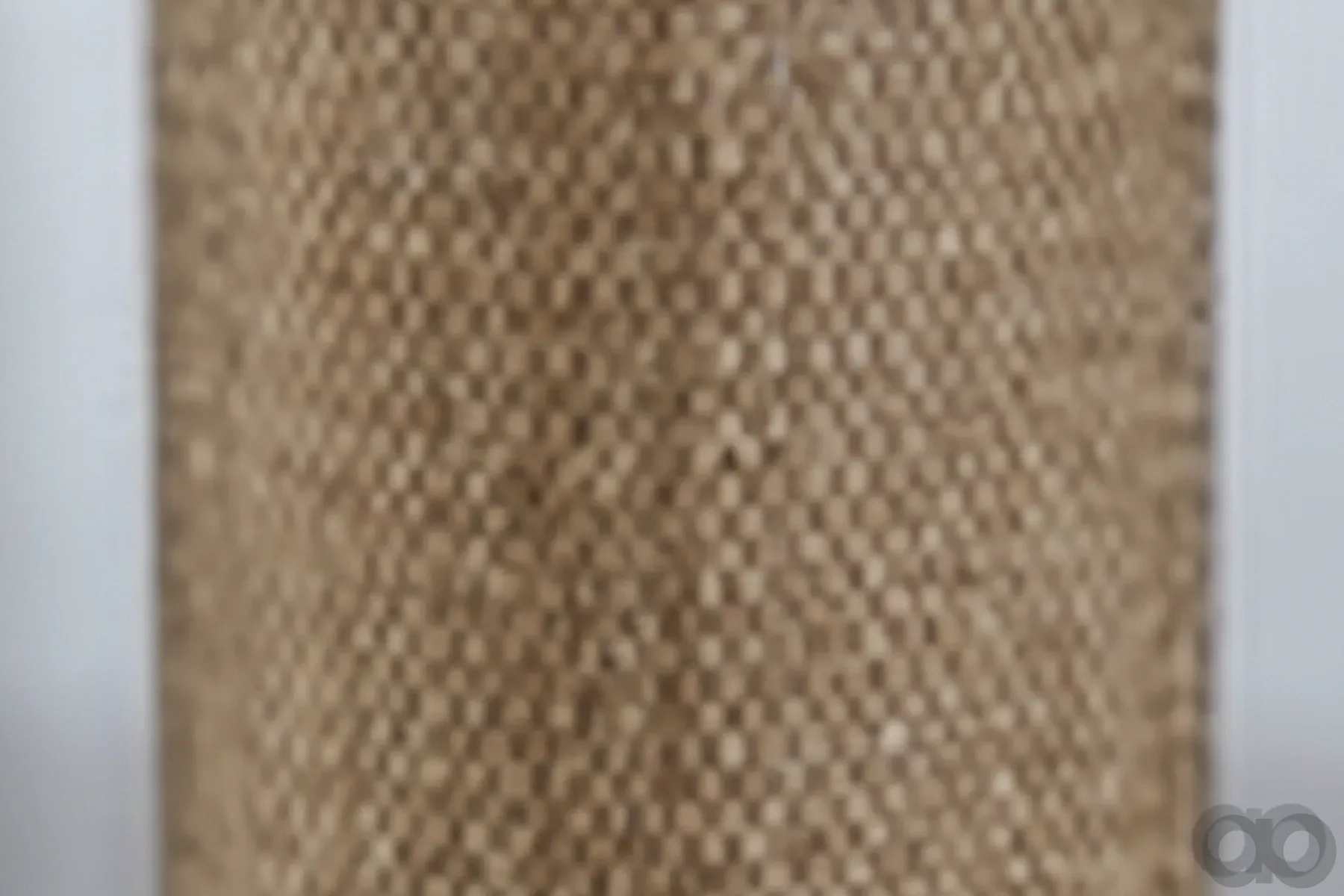Case IH - AF253 - Air Filter
