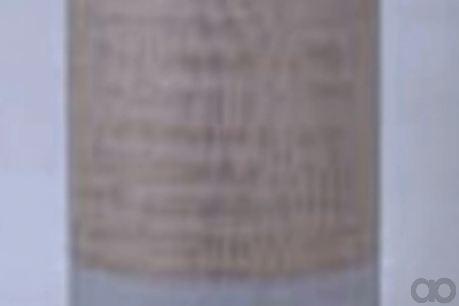 Case IH - AF25335 - Air Filter