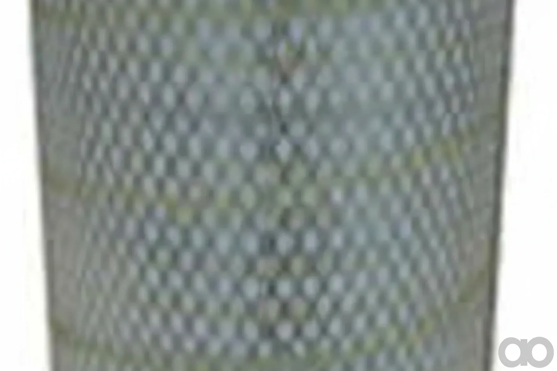 Case IH - AF25365 - Air Filter