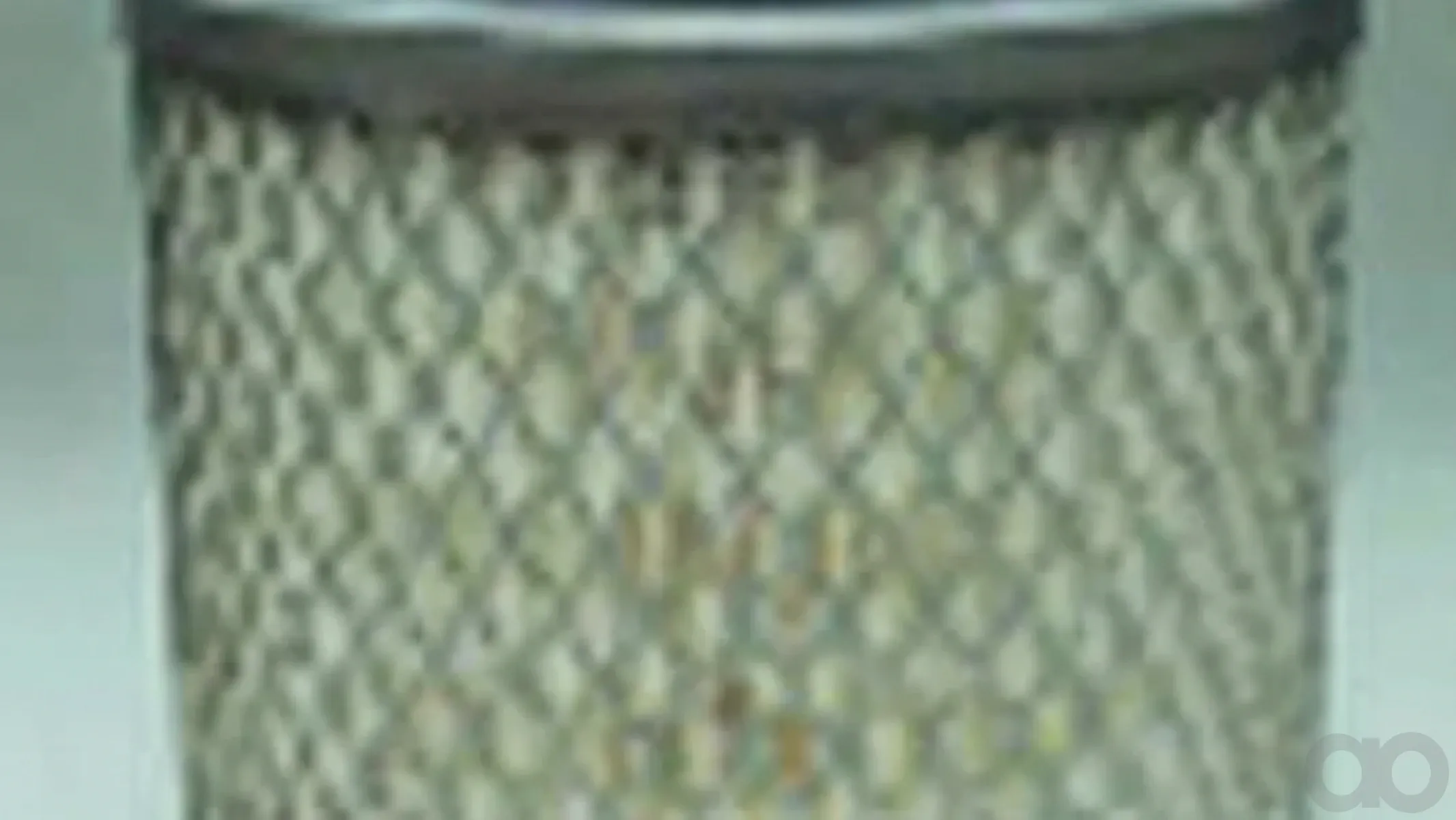 Case IH - AF25366 - Air Filter