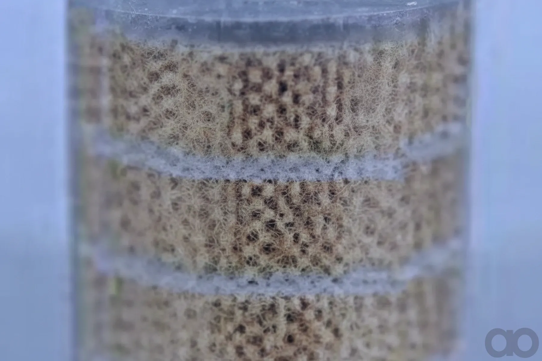 Case IH - AF265 - Air Filter
