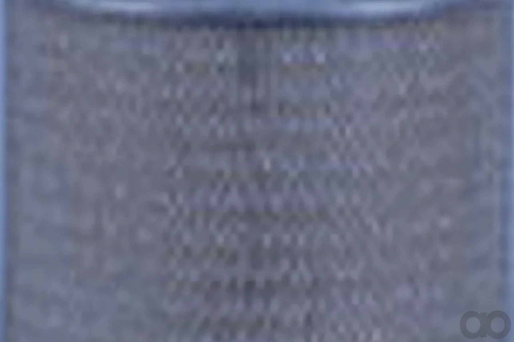 Case IH - AF289 - Air Filter