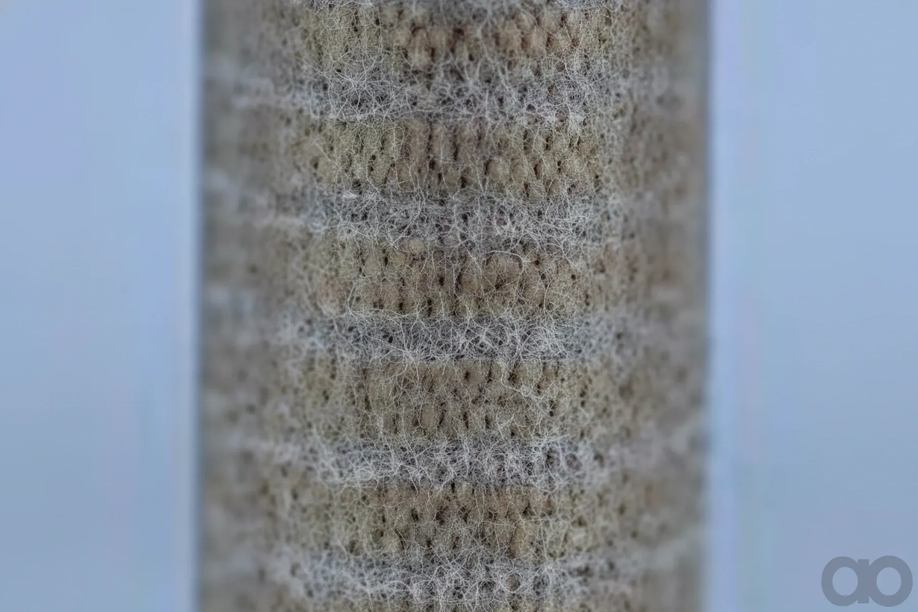 Case IH - AF4135 - Air Filter