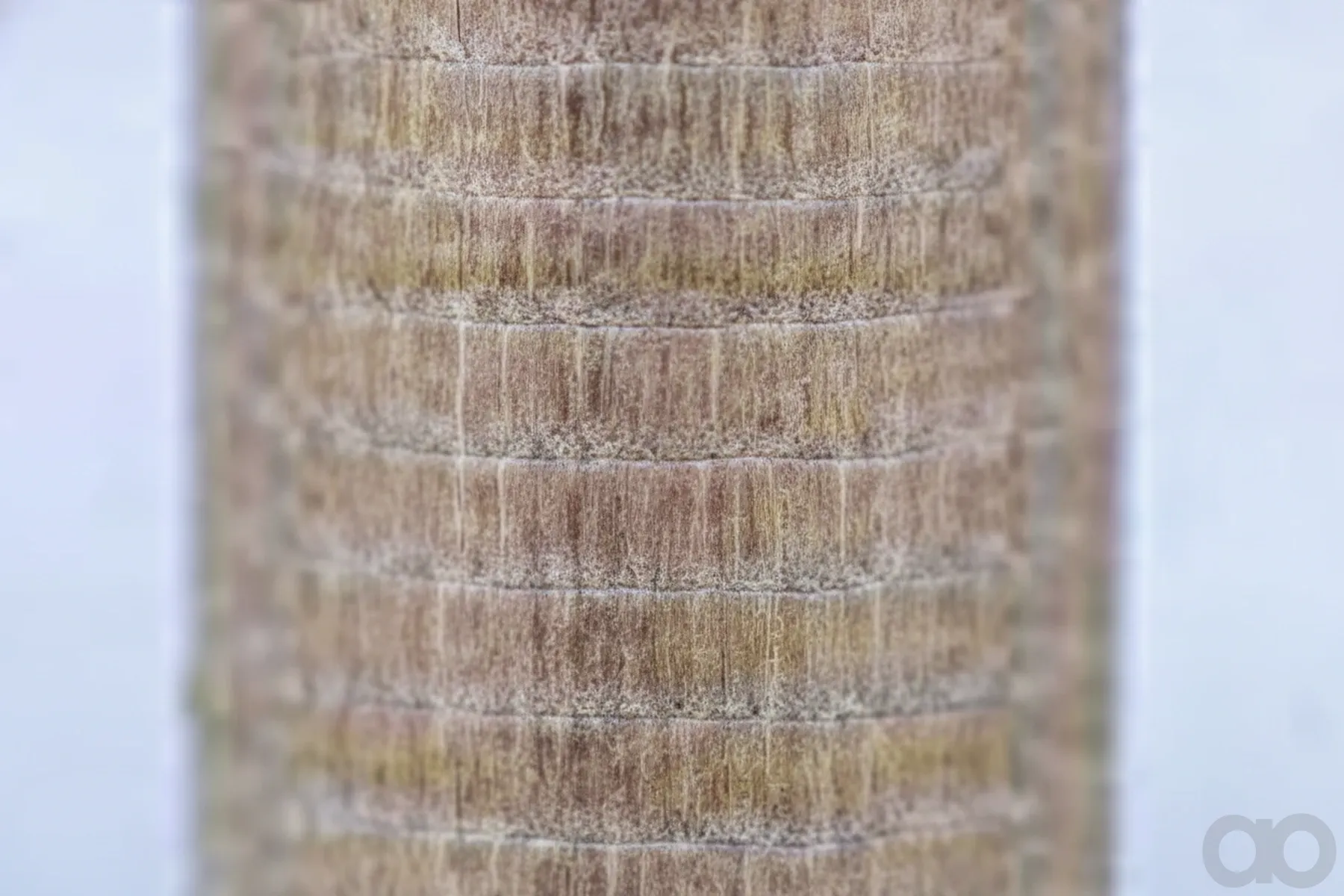 Case IH - AF4559 - Air Filter