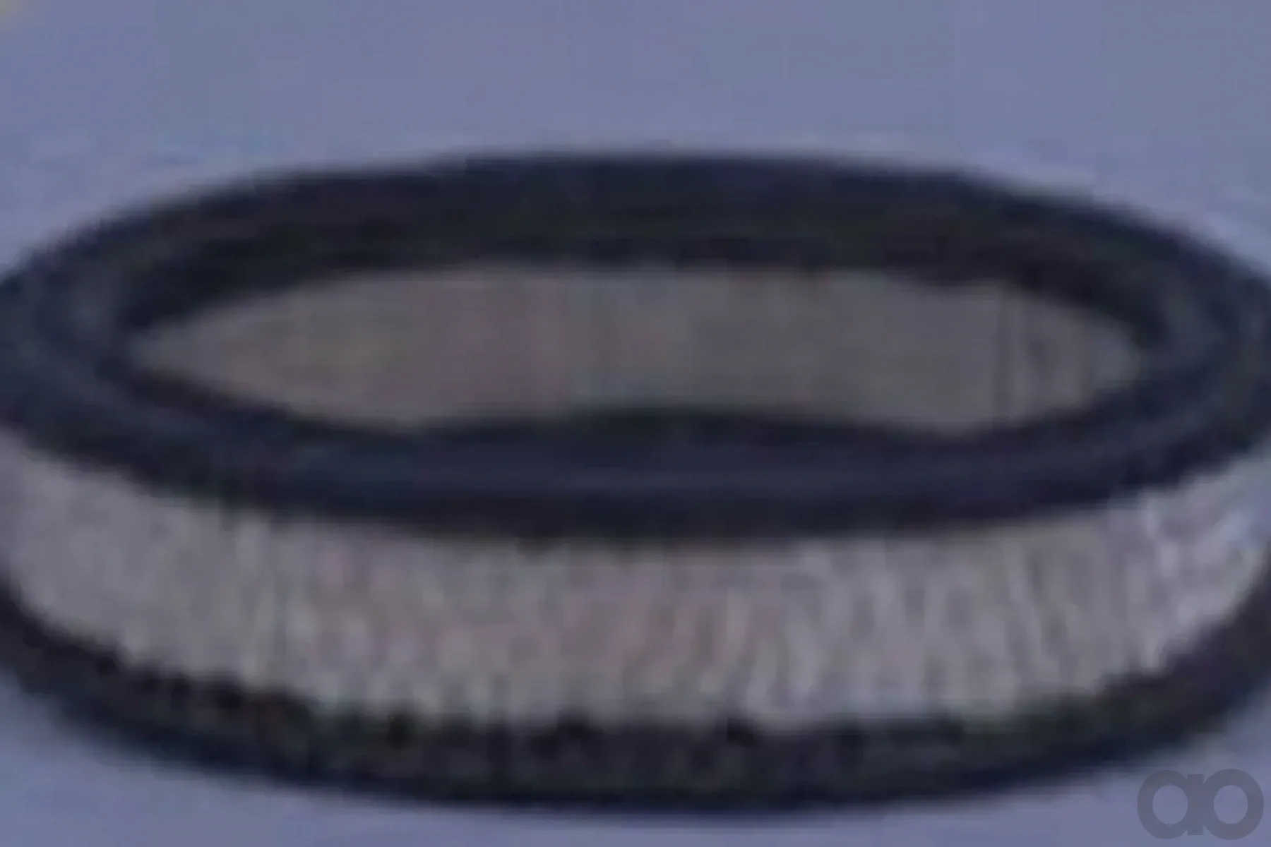 Case IH - AF4578 - Air Filter