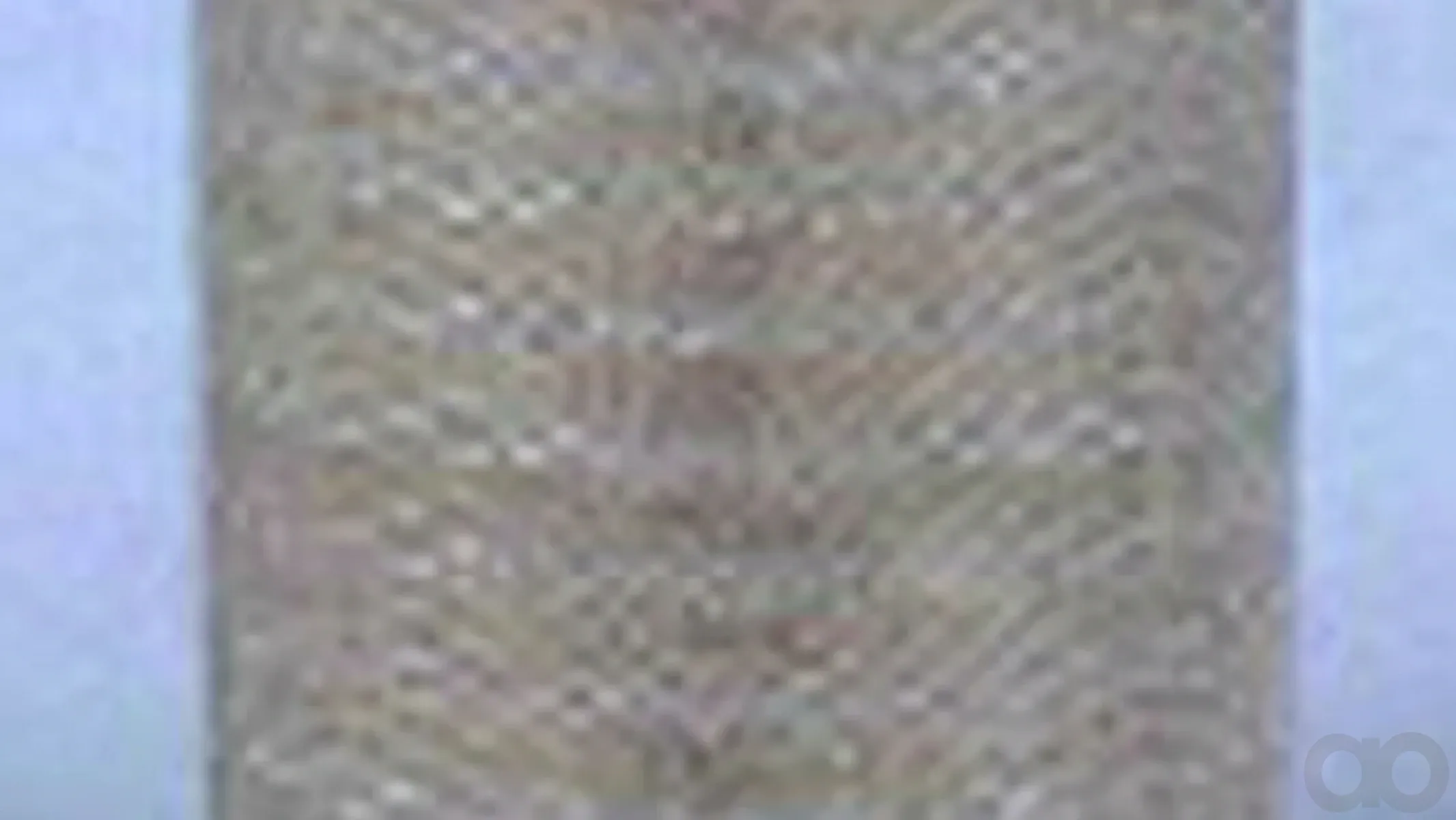 Case IH - AF4583M - Air Filter