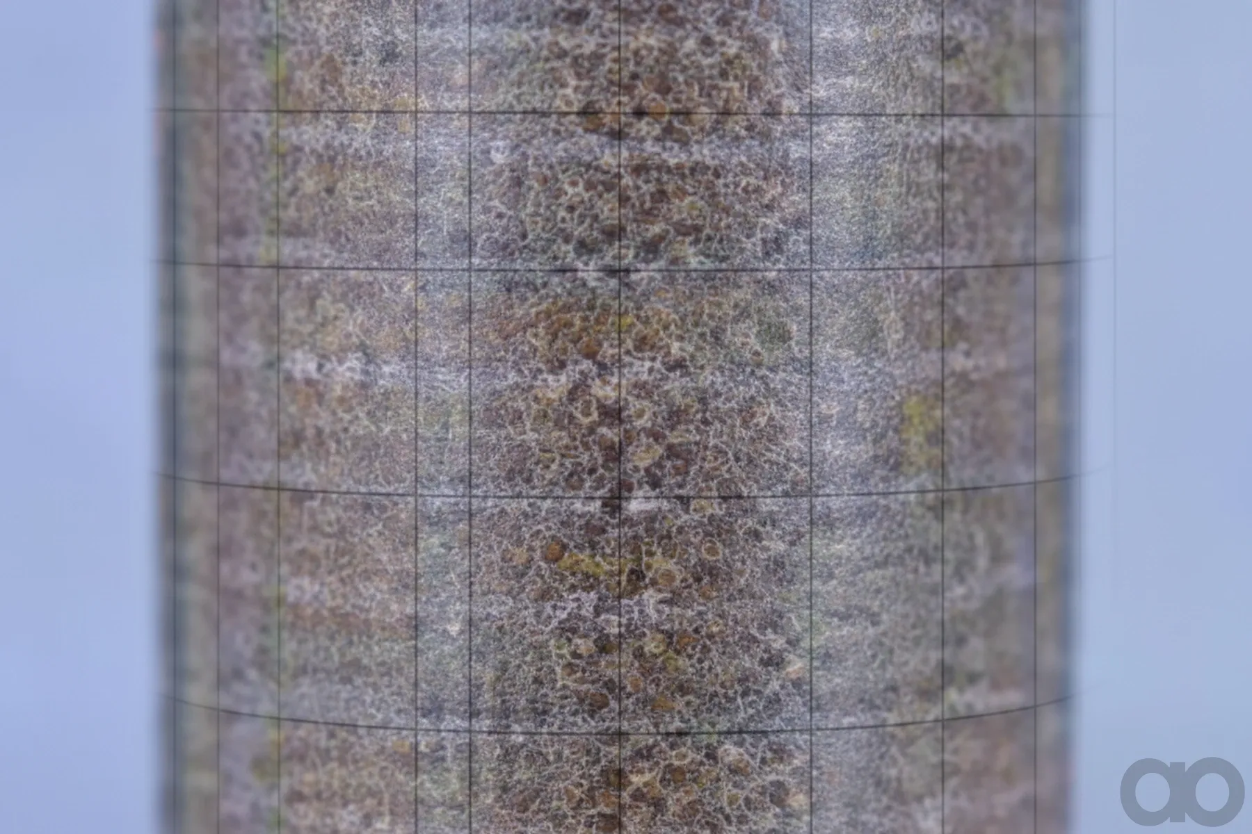 Case IH - AF4793 - Air Filter