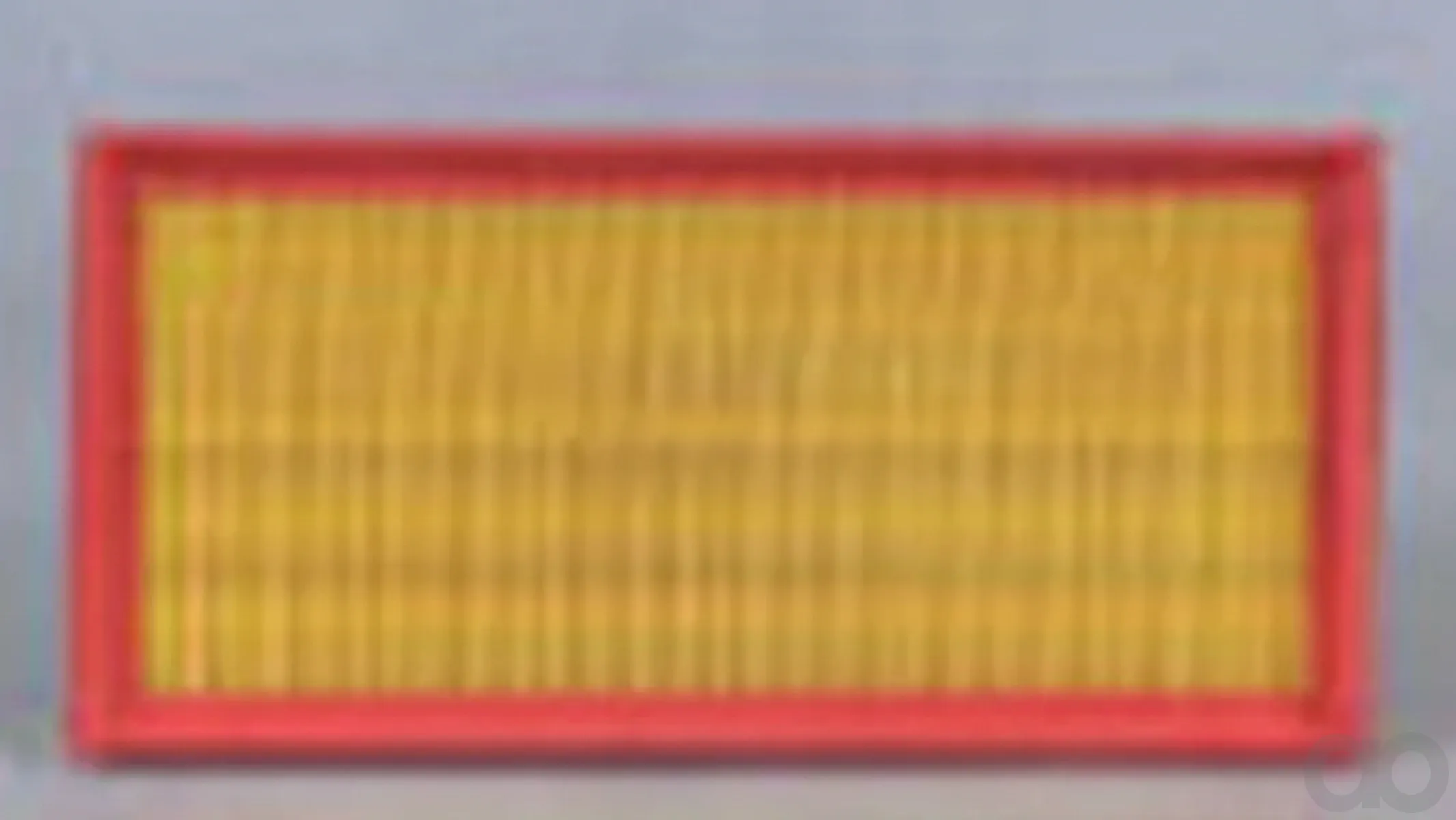Case IH - AF4919 - Air Filter