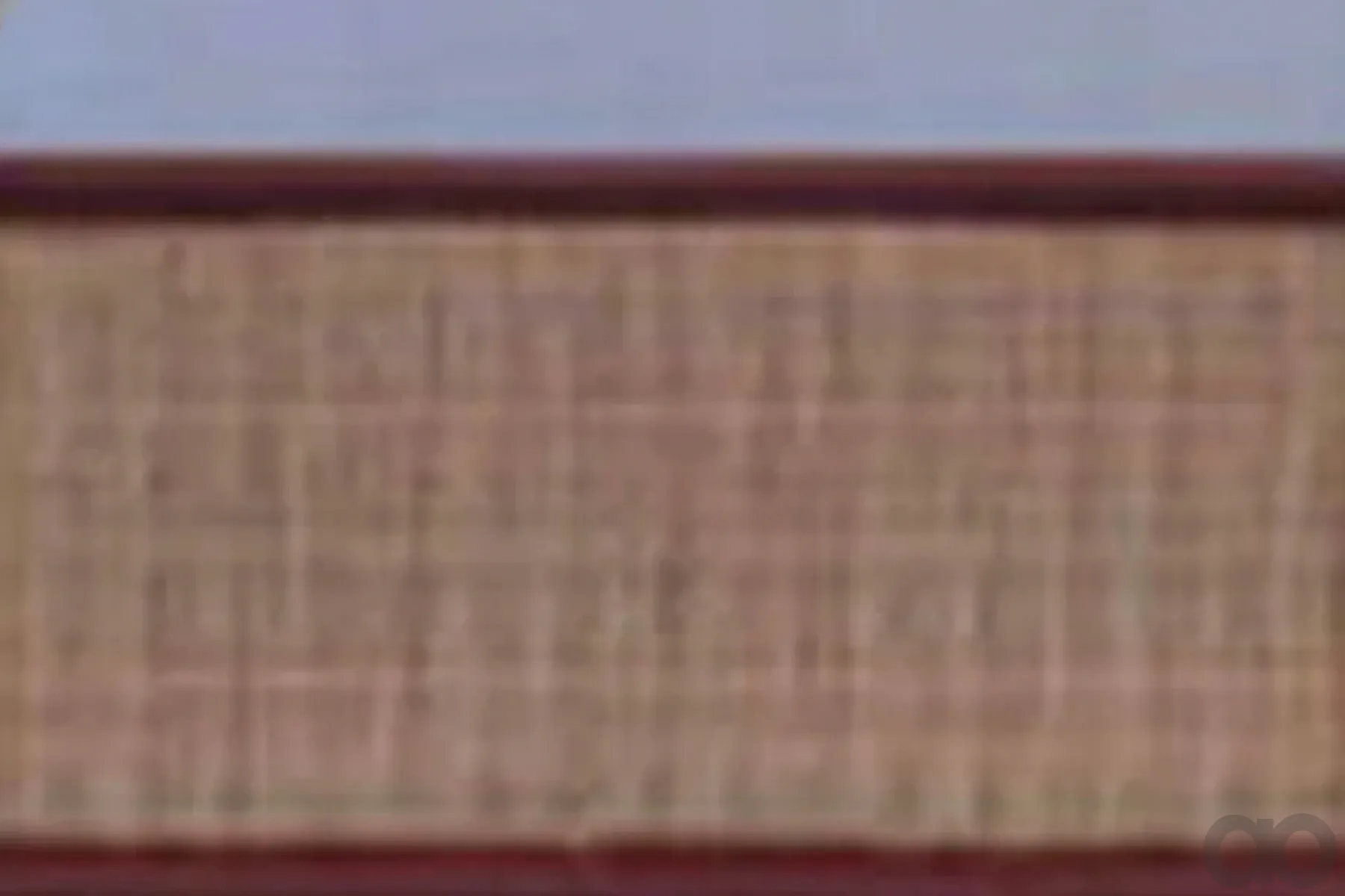 Case IH - AF4965 - Air Filter