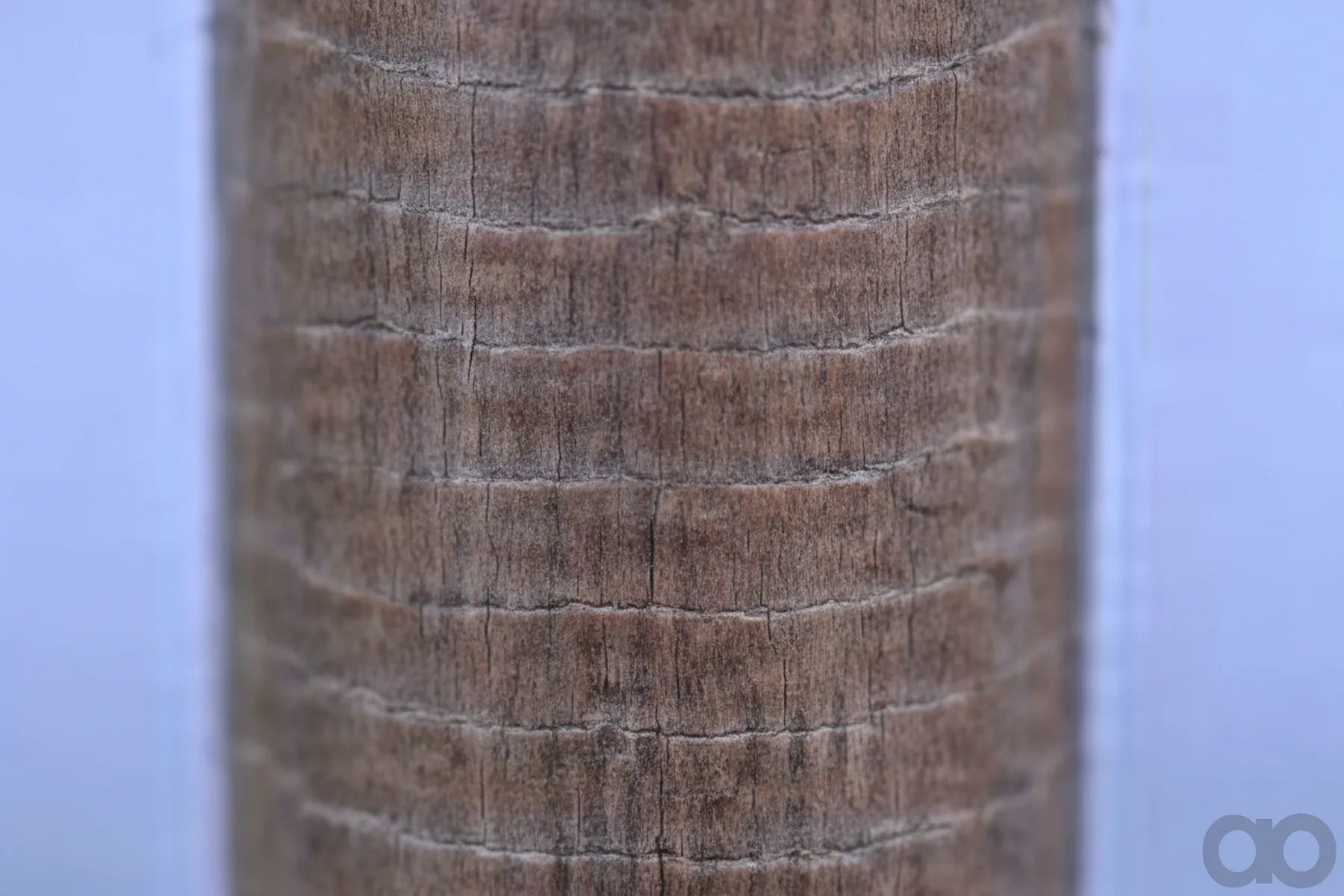 Case IH - AF970 - Air Filter