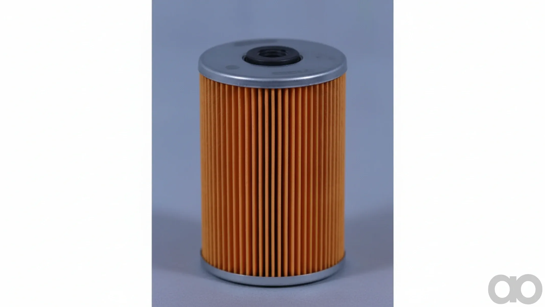 Case IH - FF5069 - Fuel Filter