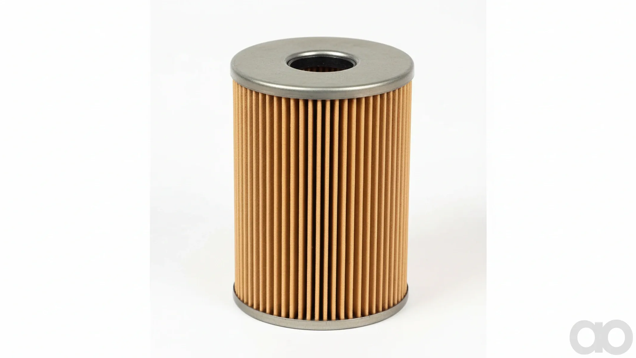 Case IH - FS19557 - Fuel Filter