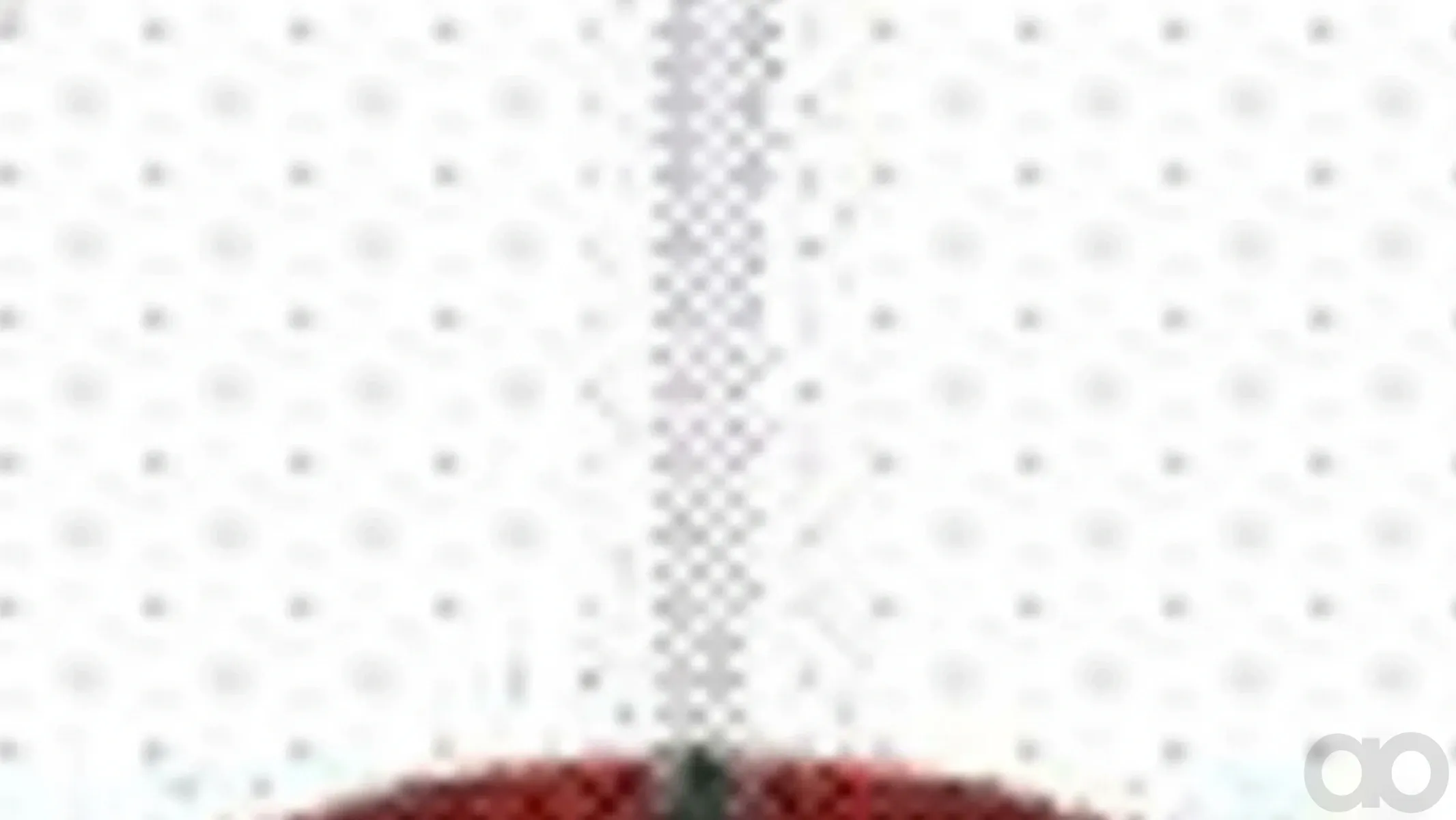 Case IH