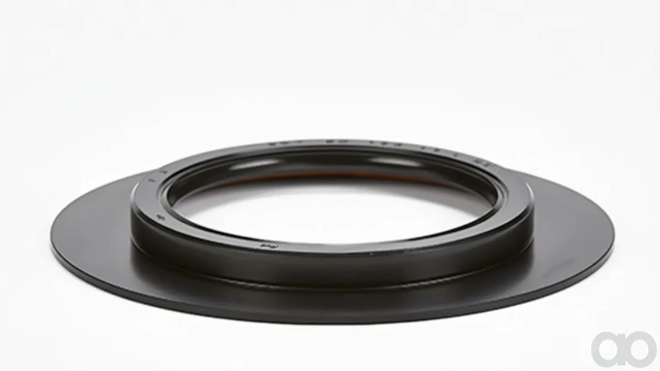 Case IH - SBA198636170 - Gasket