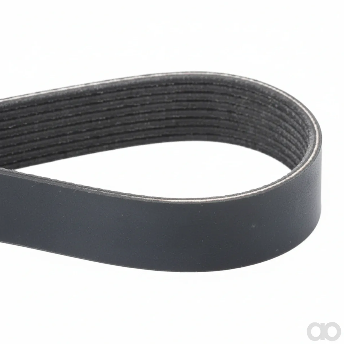 Challenger-2020951 - Serpentine Belt, PK8 Profile