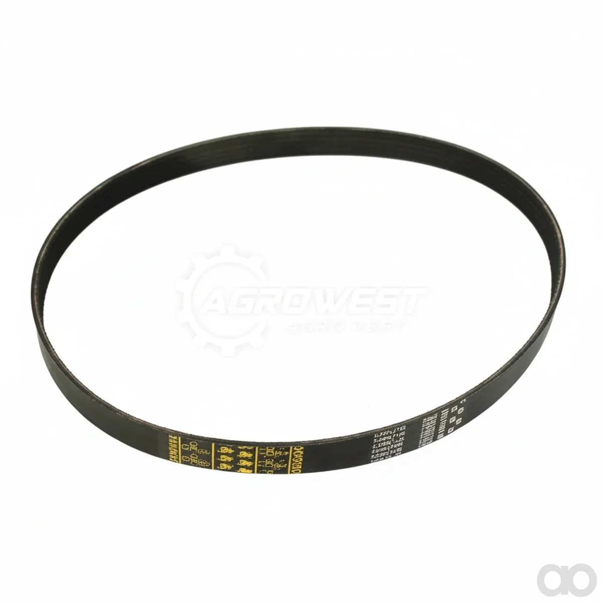 Claas - 7967860 - V-Belt