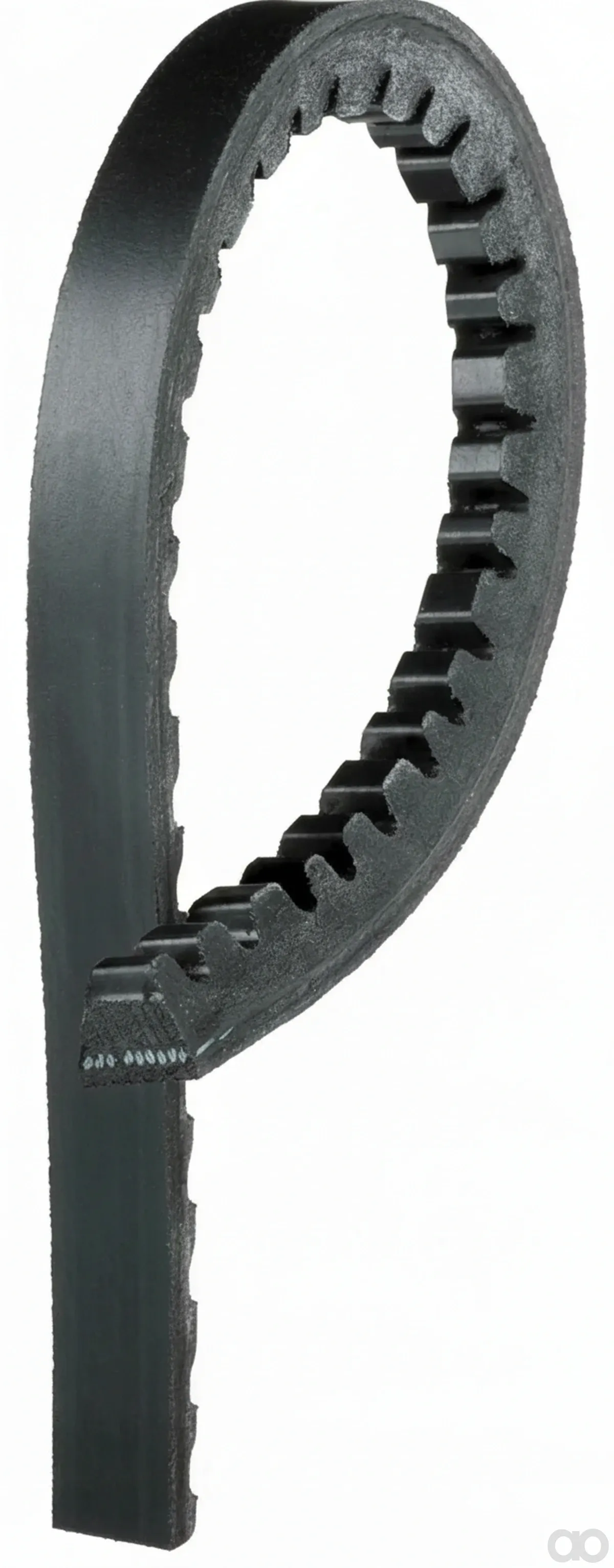 Dayco - 13A1255HD - PAS AVX13x1255 DAYCO