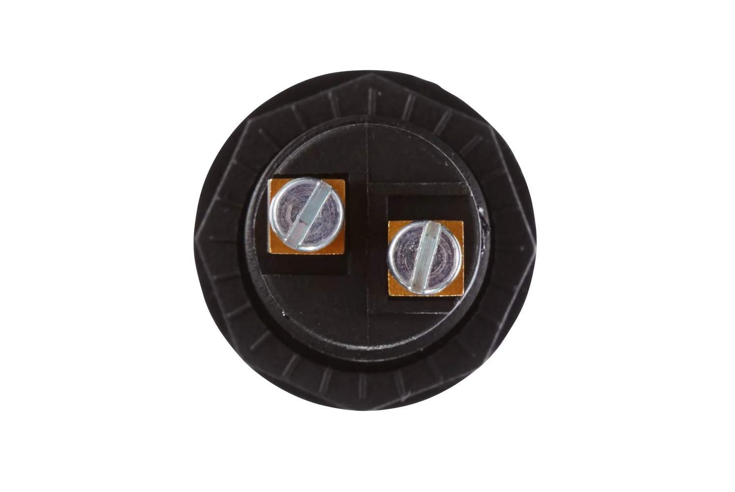 HELLA - 2AA 008 592-031 - Control Lamp, Halogen, 12/24V