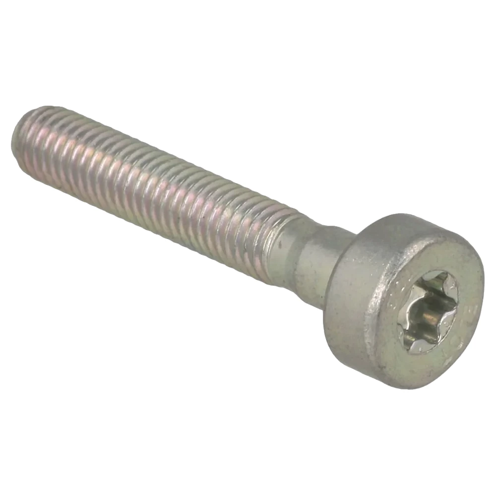 Stihl - 9022-346-1069 - Cylindrical Head Screw IS-M5x30