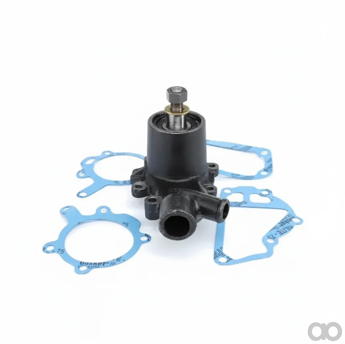 Fendt - 4222002M91 - Water Pump, without Pulley