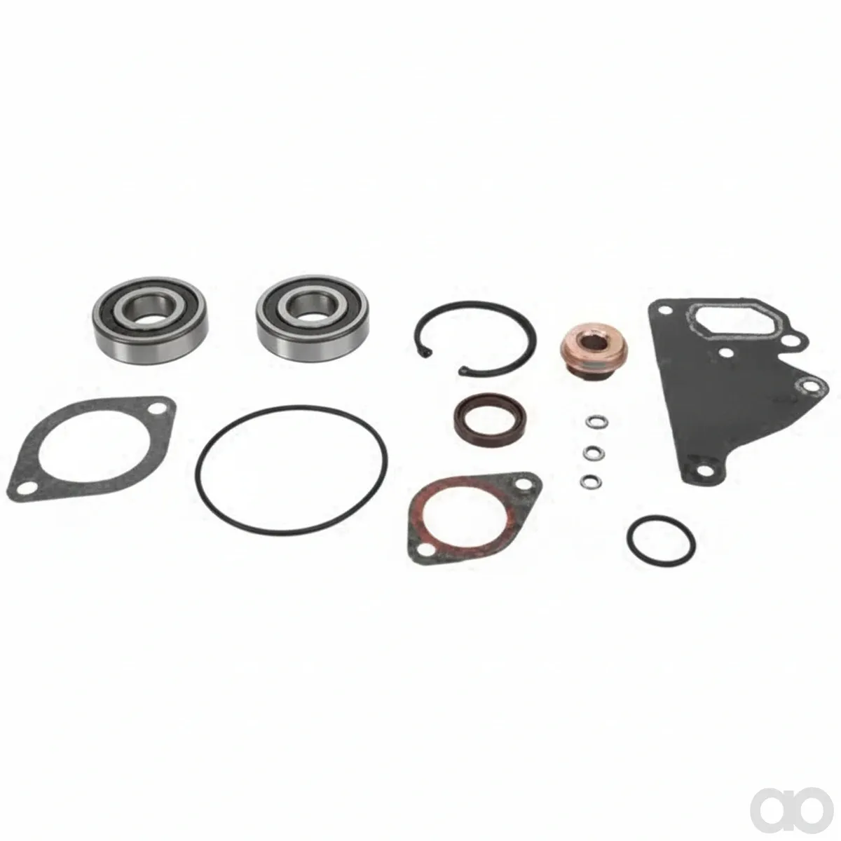 Fendt-v837079639 - WATER PUMP REPAIR KIT