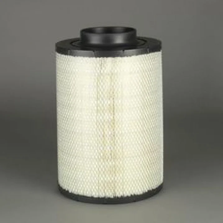 Donaldson - B105012 - Air filter (duralite ecb)