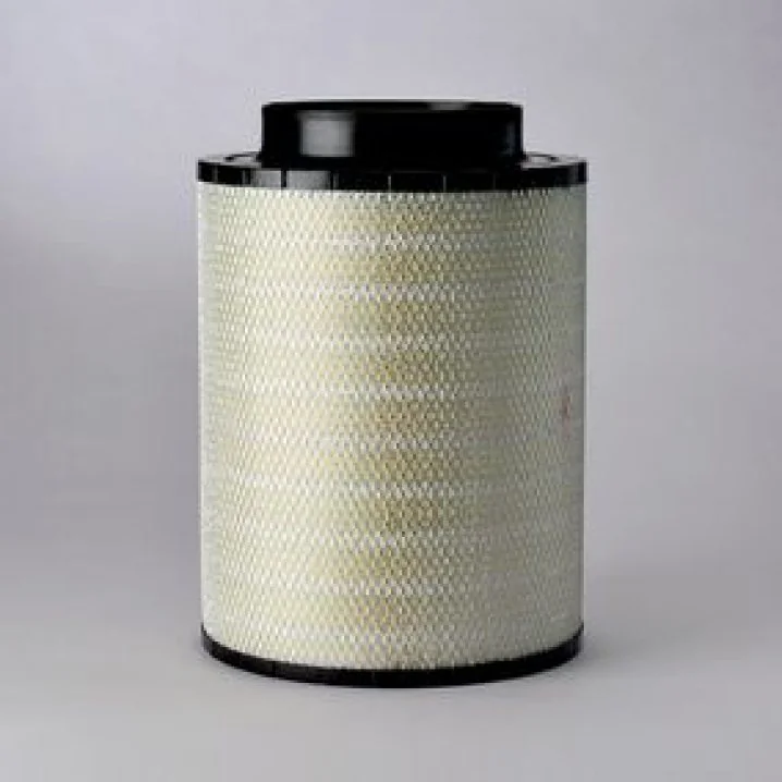 Donaldson - B120439 - Unità filtro dell'aria