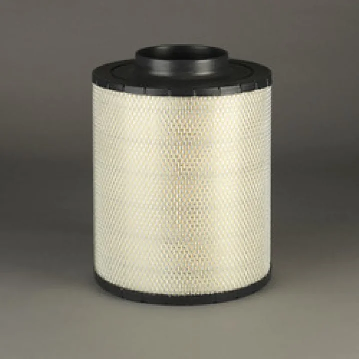 Donaldson - B125003 - Air filter (duralite ecb)