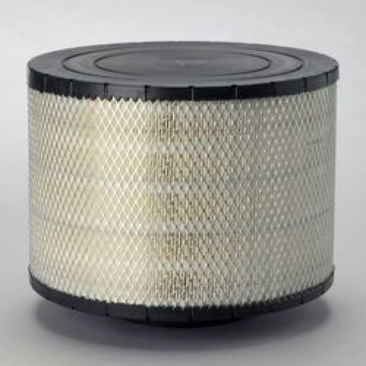 Donaldson - B125005 - Air filter (duralite ecb)