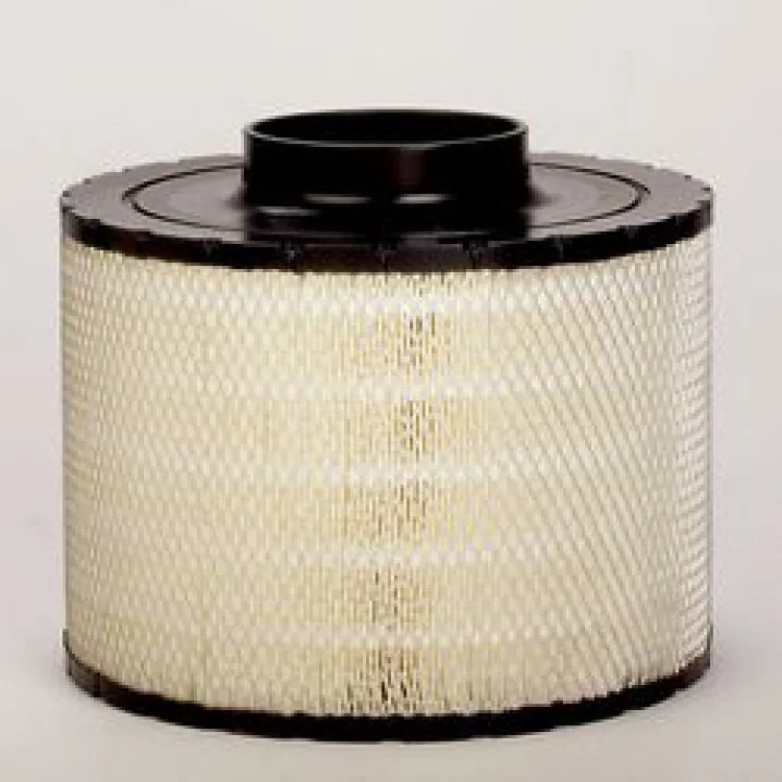 Donaldson - B125011 - Unità filtro dell'aria