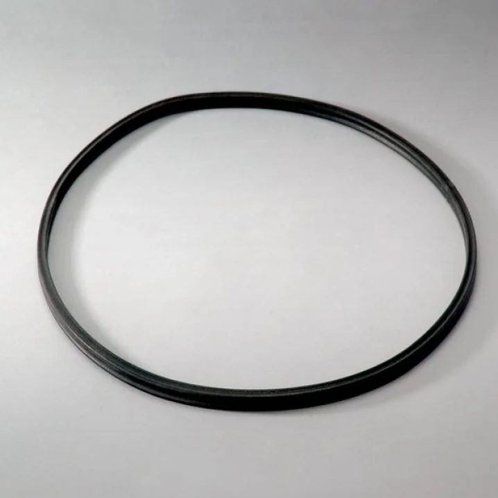 Donaldson - P016972 - Gasket kit