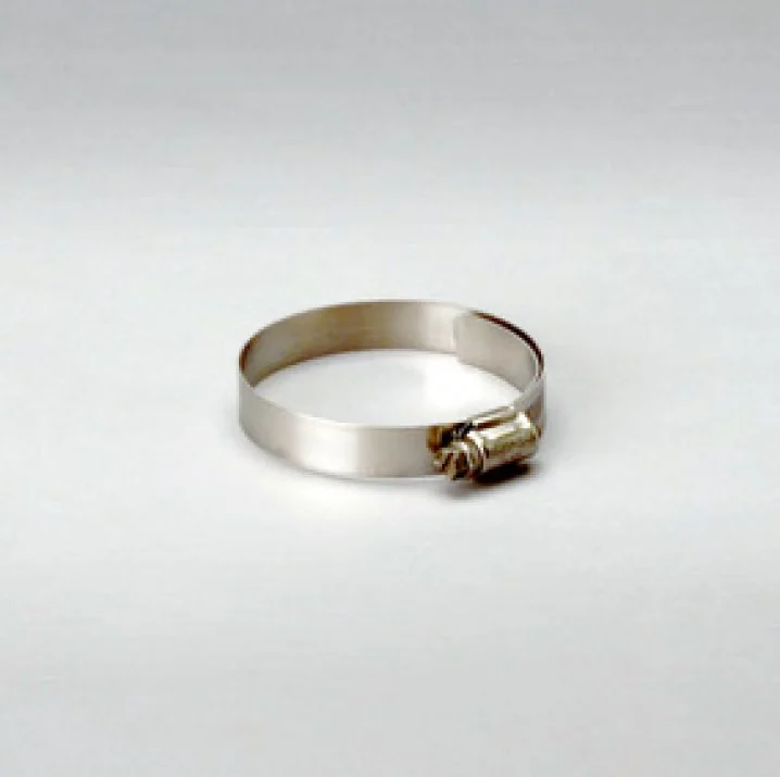 Donaldson - P115201 - Hose clamp
