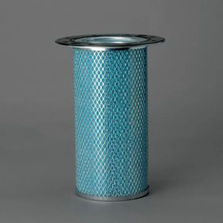 Donaldson - P158669 - Filtro dell'aria