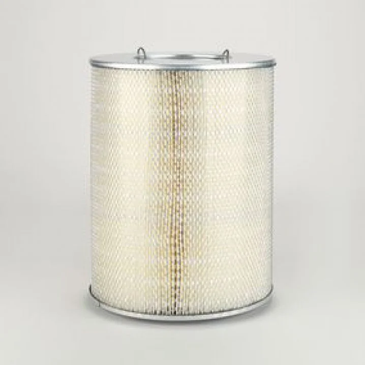 Donaldson - P181065 - Air filter element