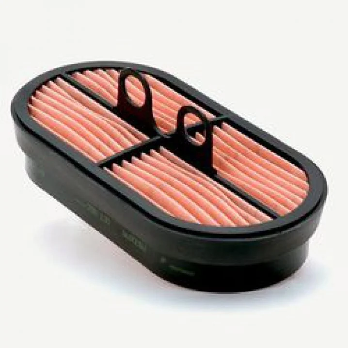DONALDSON - P600975 - Air Filter