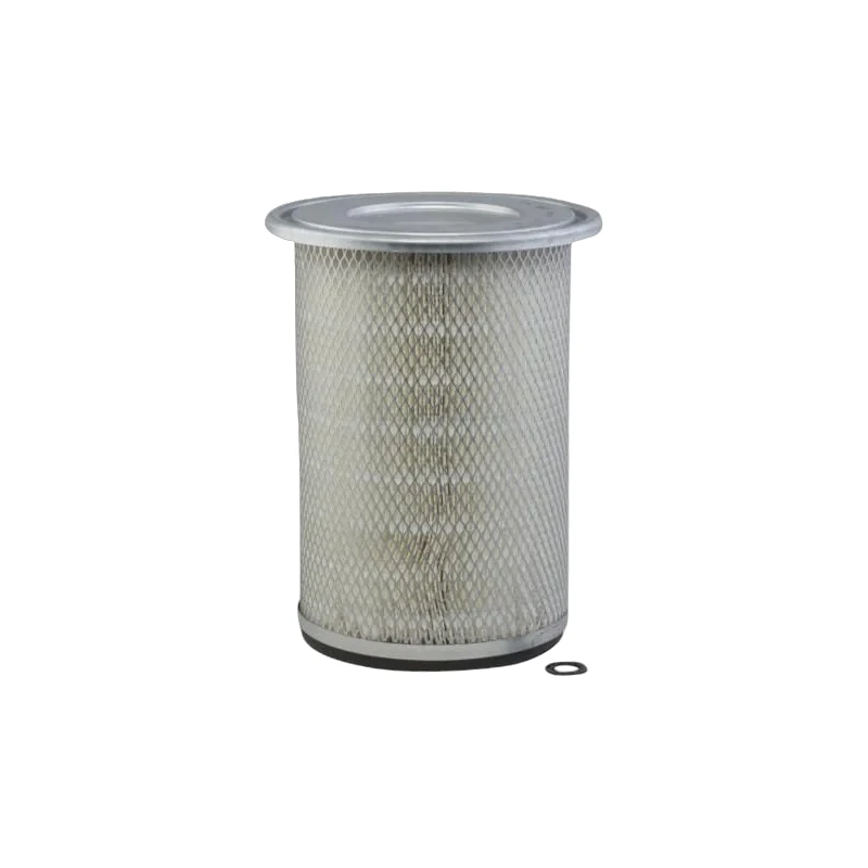 Donaldson - P636773 - Air Filter