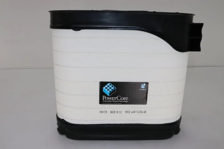 Donaldson - P641176 - Air filter element