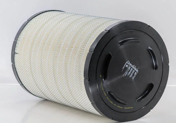 Donaldson - P646921 - Air filter element