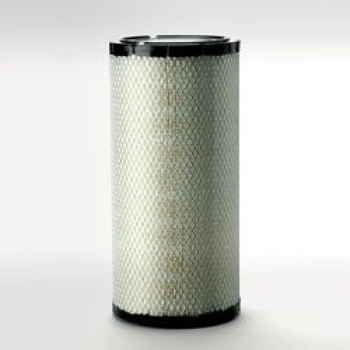 DONALDSON - P780522 - Air Filter