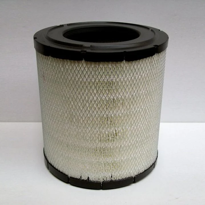 Donaldson - P780731 - Air filter element